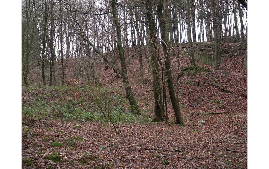 Anthropogene Spuren im Wald bei Honsberg (2008)