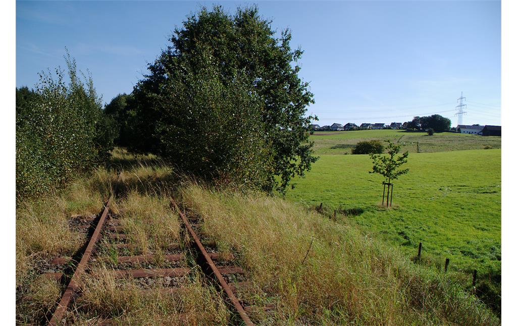Schienen der Bahnlinie Wipperfürth - Lennep bei Busenbach (2007)