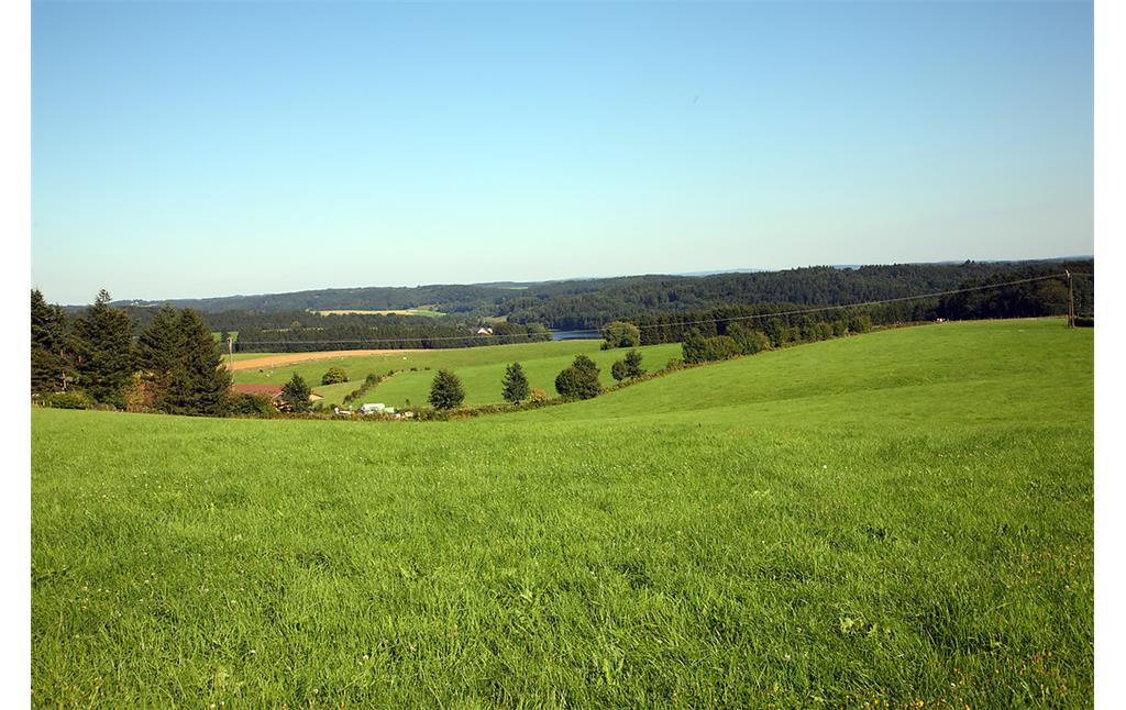 Landschaft bei Zipshausen (2008)