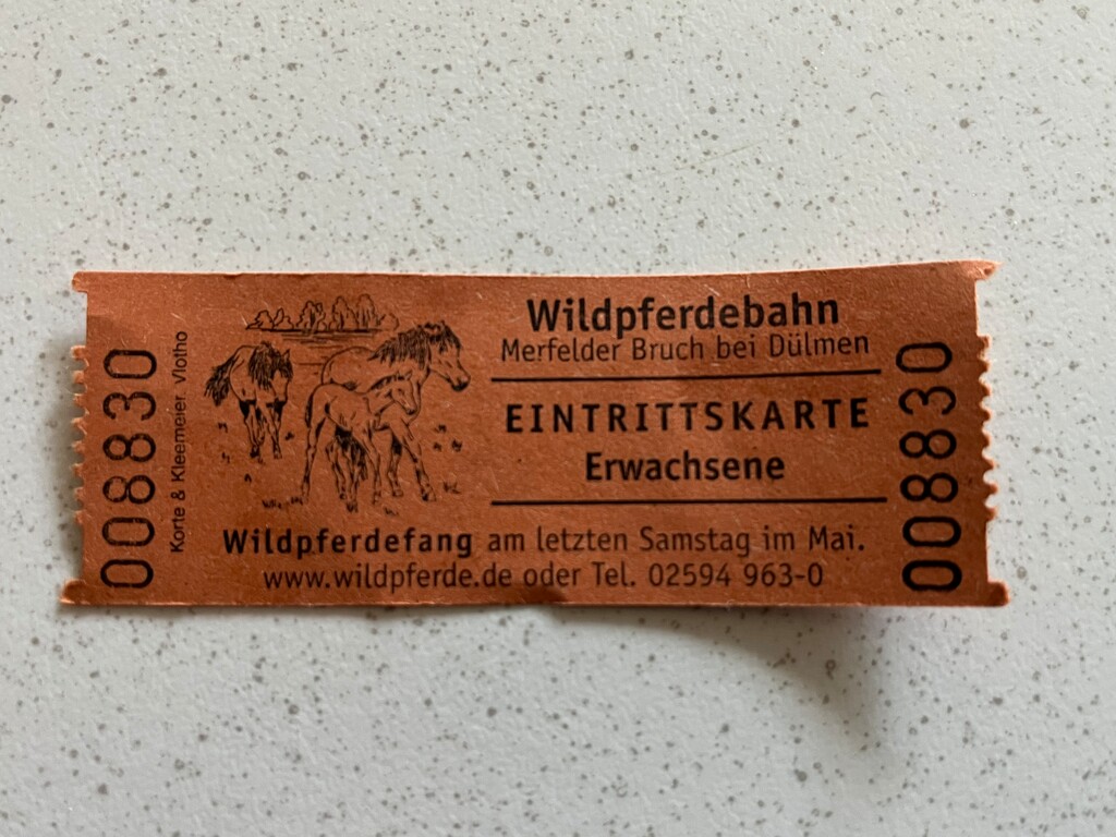 Dülmener Wildpferdebahn (2023)