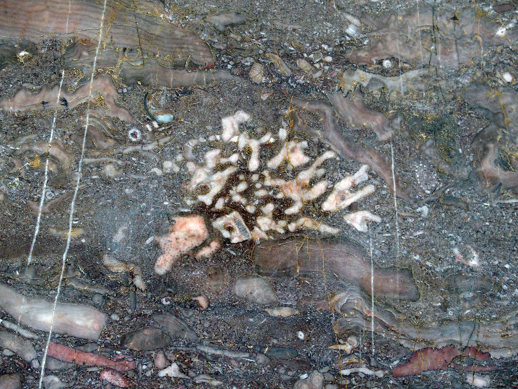 Polierte Marmorwand im Unica-Bruch in Villmar (2018)