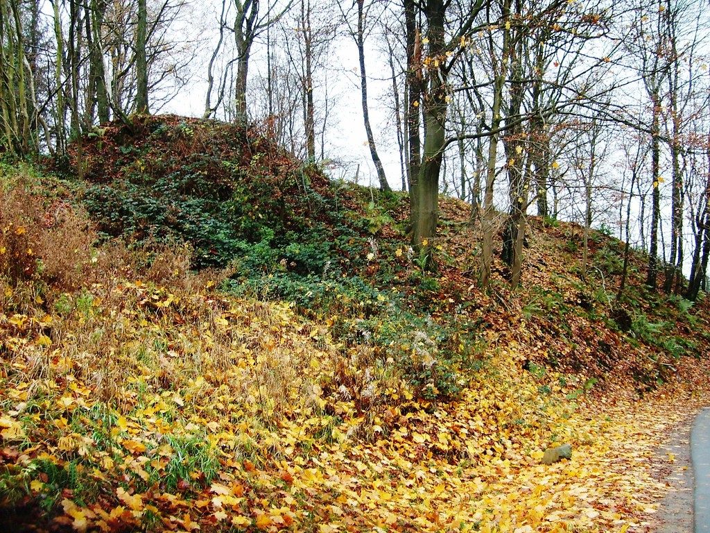 Blick auf den bewaldeten Bereich und Halden der  Steinbrüche bei Kotthausen (2008)