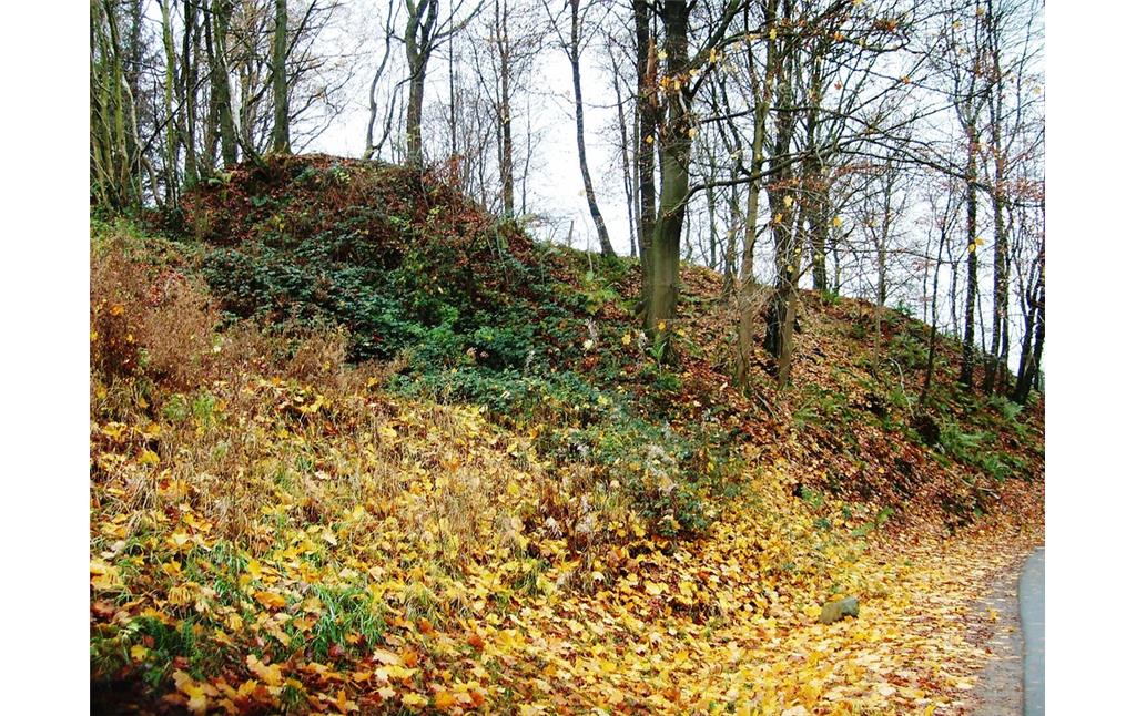 Blick auf den bewaldeten Bereich und Halden der  Steinbrüche bei Kotthausen (2008)