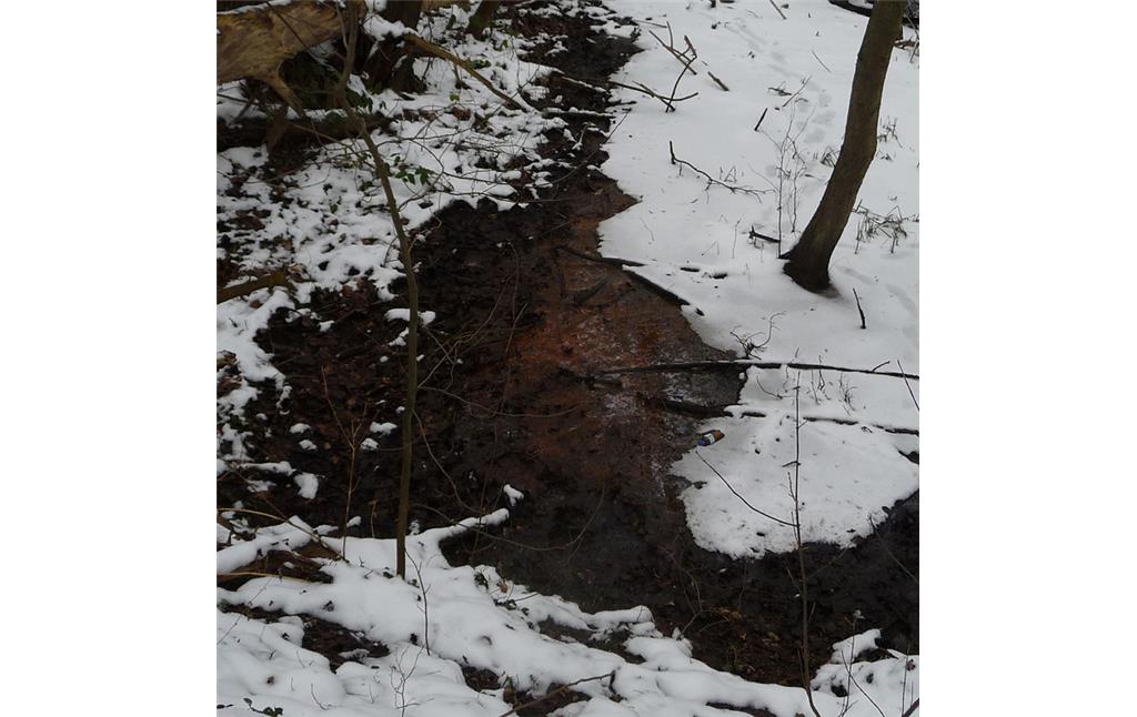 Abbildung 13: Austritt von eisenhaltigem Grundwasser im Quellgebiet Liebesallee (2010)