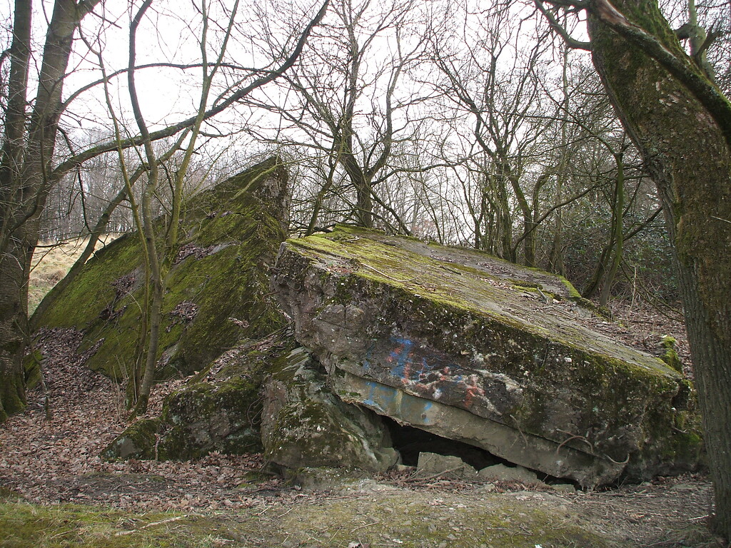 Reste von Bunkerruinen auf dem Standortübungsplatz Brander Wald zwischen Aachen-Brand und Stolberg-Münsterbusch, die Teil des sogenannten "Westwalls" waren (2017).