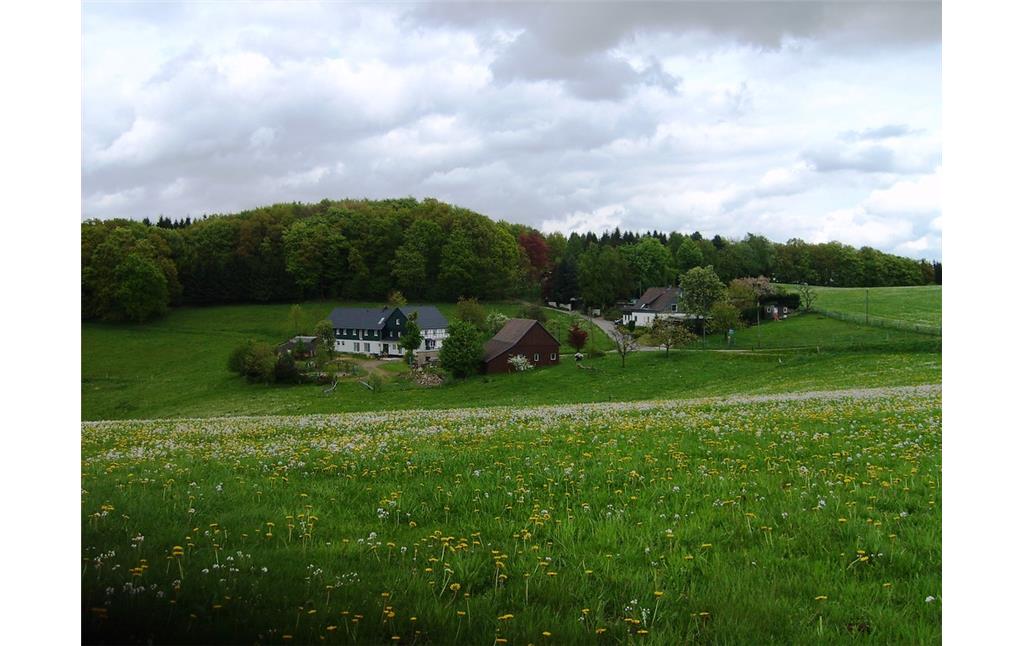 Blick auf den Weiler Arnsberg (2009)