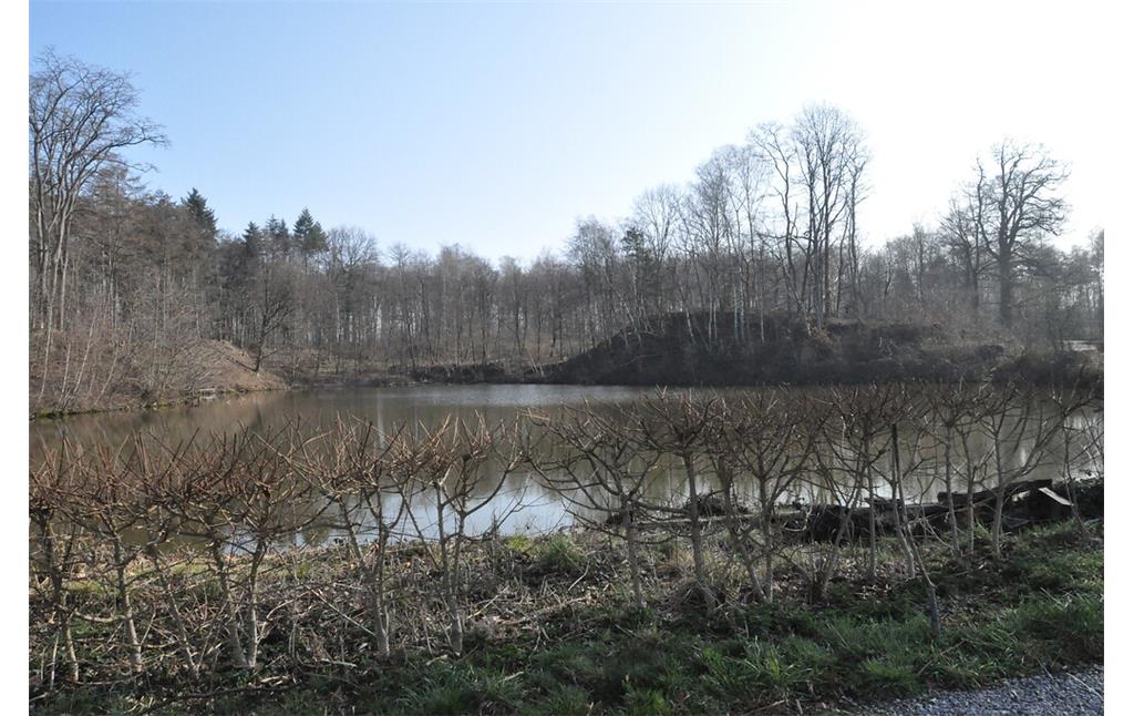 Im Mühlenteich der Tüschenbroicher Mühle wird das Wasser der hiesigen Bäche und Gräben gestaut (2021)