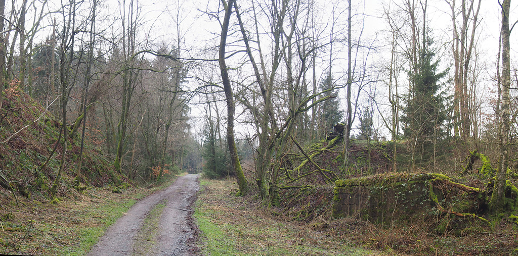 Abfuhrweg in Richtung Lindlar. Links vom Weg liegt der Bruch. Rechts die frontalen Halde mit der Laderampe. (2018)