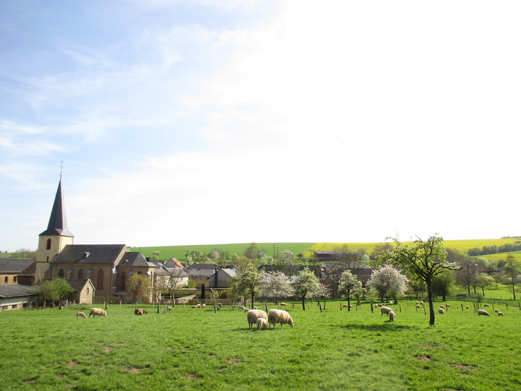Blick auf Muldenau über Schafweiden mit Obstbäumen (2015)