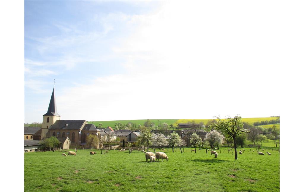 Blick auf Muldenau über Schafweiden mit Obstbäumen (2015)