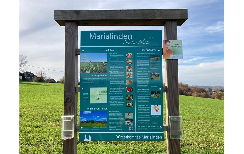 Informationstafel an der Obstbaum-Allee in Overath-Marialinden (2021)