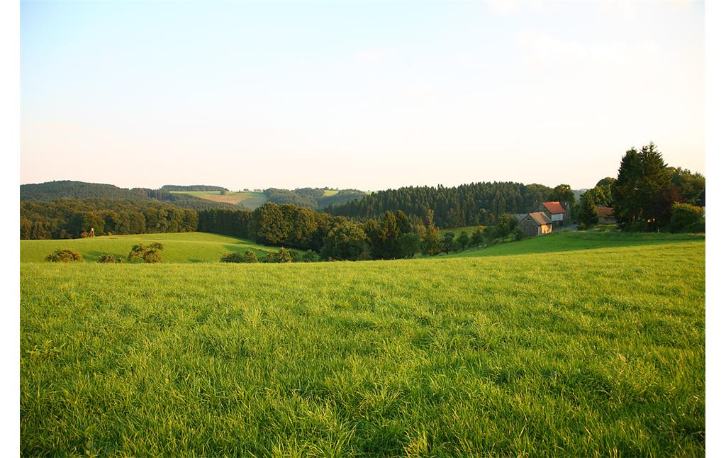 Niederburghof mit Obstwiese inmitten von Grünland (2008)