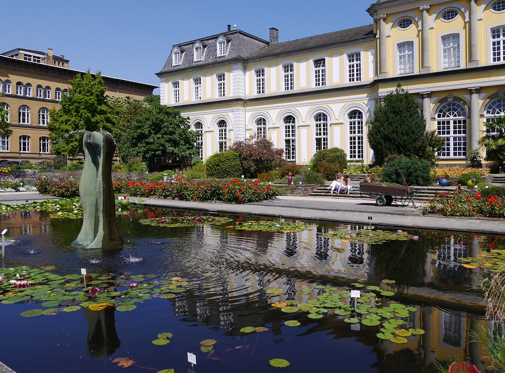 Seerosenbecken im Eingangsbereich des Botanischen Gartens der Universität Bonn am Poppelsdorfer Schloss (2014)