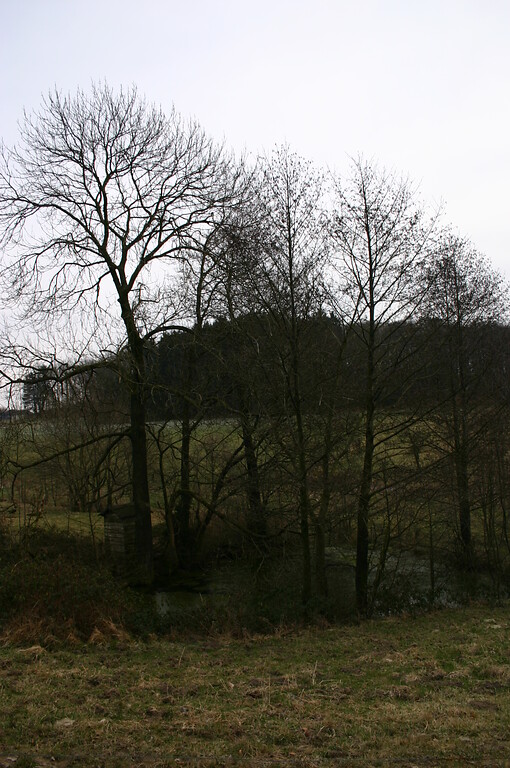 Teich auf historischem Standort im Weiler Eich (2008)