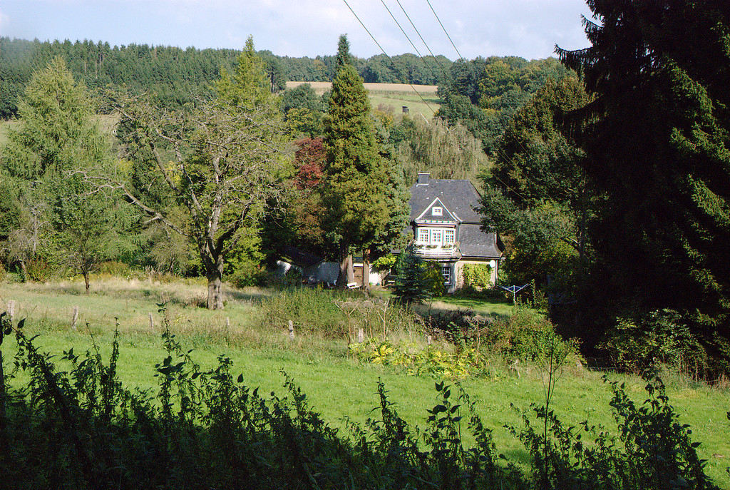 Villa mit Baumgruppen in Großeichen (2008)