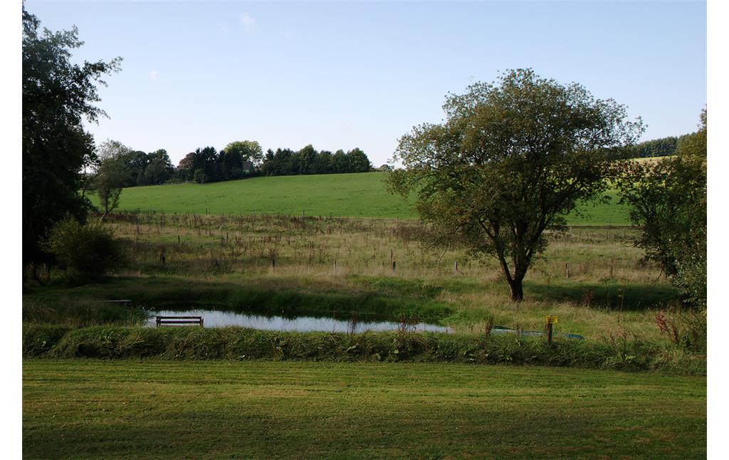 Teich bei Niederdorp (2008)