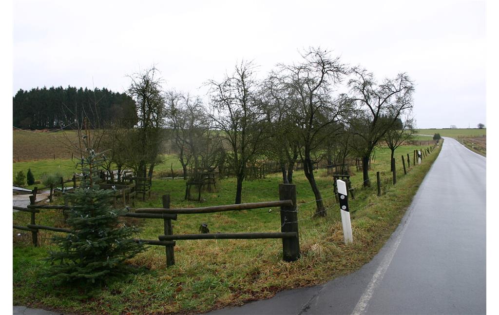 Die Obstwiese mit altem Baumbestand gehört zum Einzelhof Niederwönkhausen (2008)