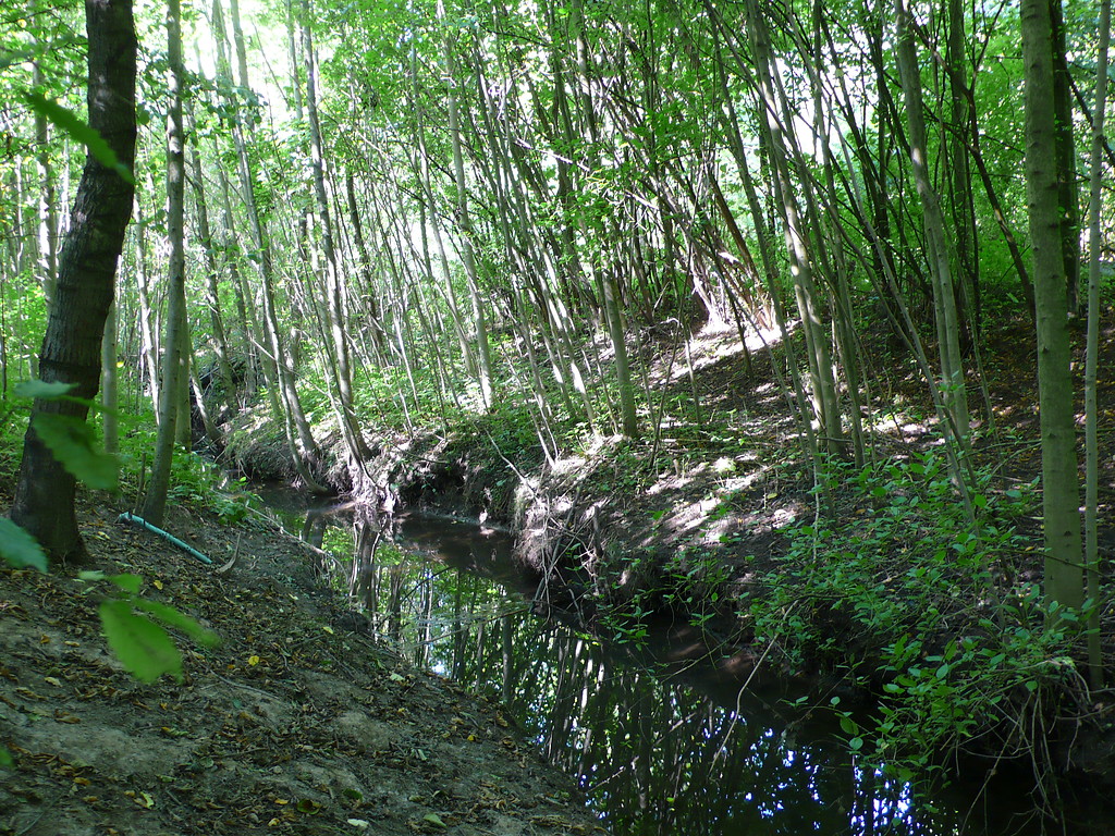Dellwiger Bach im Naturschutzgebiet Dellwiger Bachtal in Dortmund (2009)