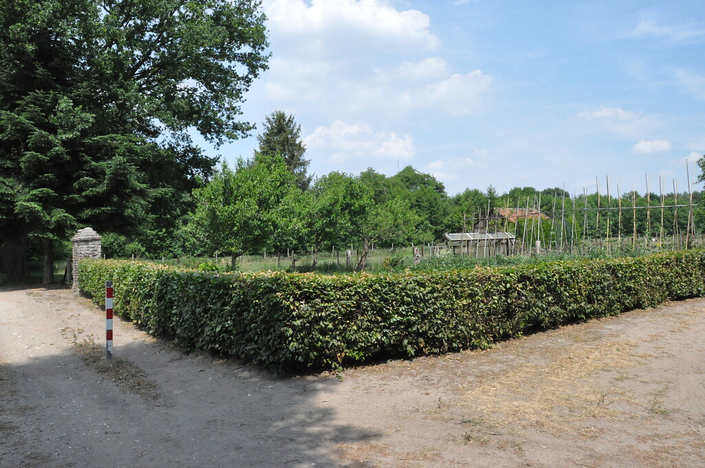 Der Garten des Gitstapper Hofes ist von einer Buchenschnitthecke umgeben (2017)