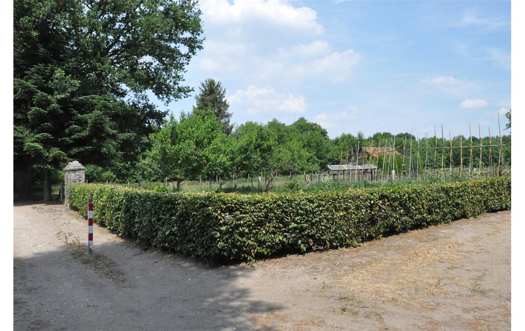 Der Garten des Gitstapper Hofes ist von einer Buchenschnitthecke umgeben (2017)