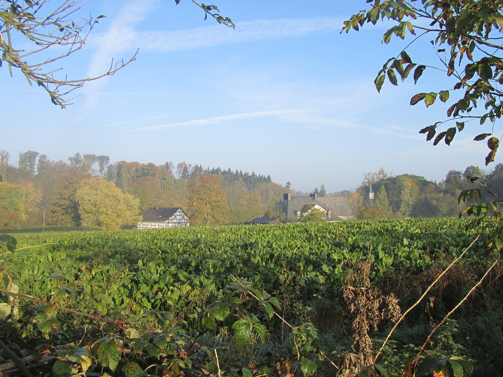 Blick über die Felder auf die Dächer von Burg Gudenau (2014)