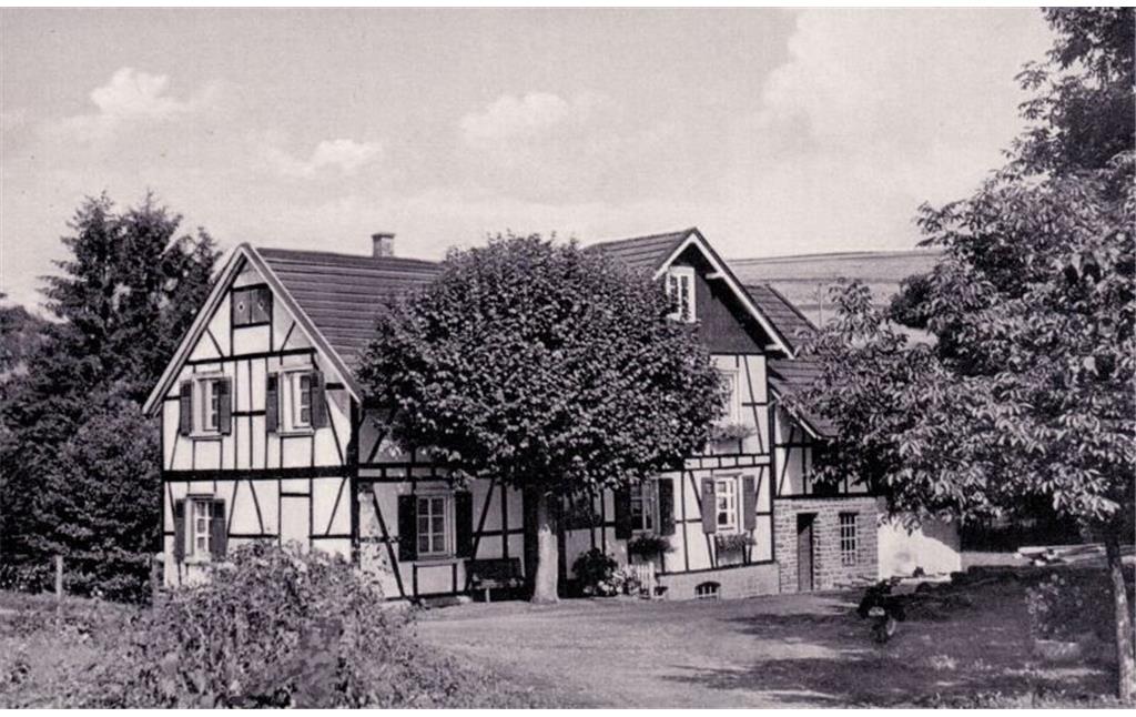 Geringhauser Mühle 1952