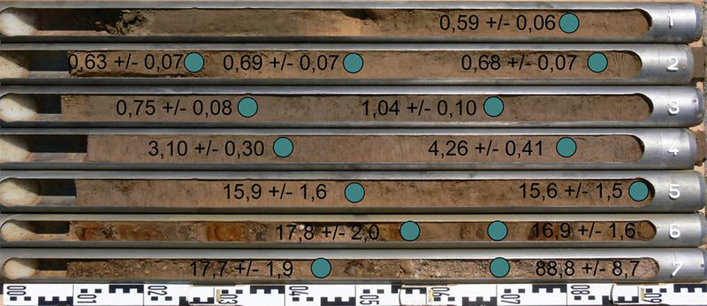 Abbildung 4: Bohrkerne einer Rammkernsondierung in der Aue des Pulheimer Baches mit Lage und TL-Alter der datierten Proben (2014)