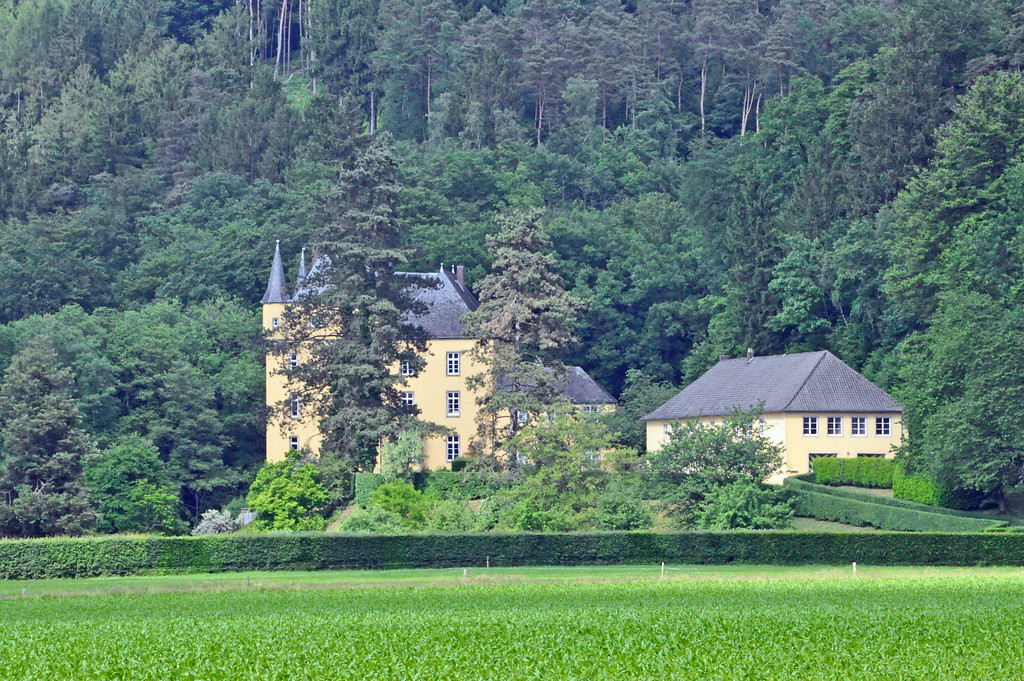 Burg (Schloss) Strauweiler bei Odenthal (2015)