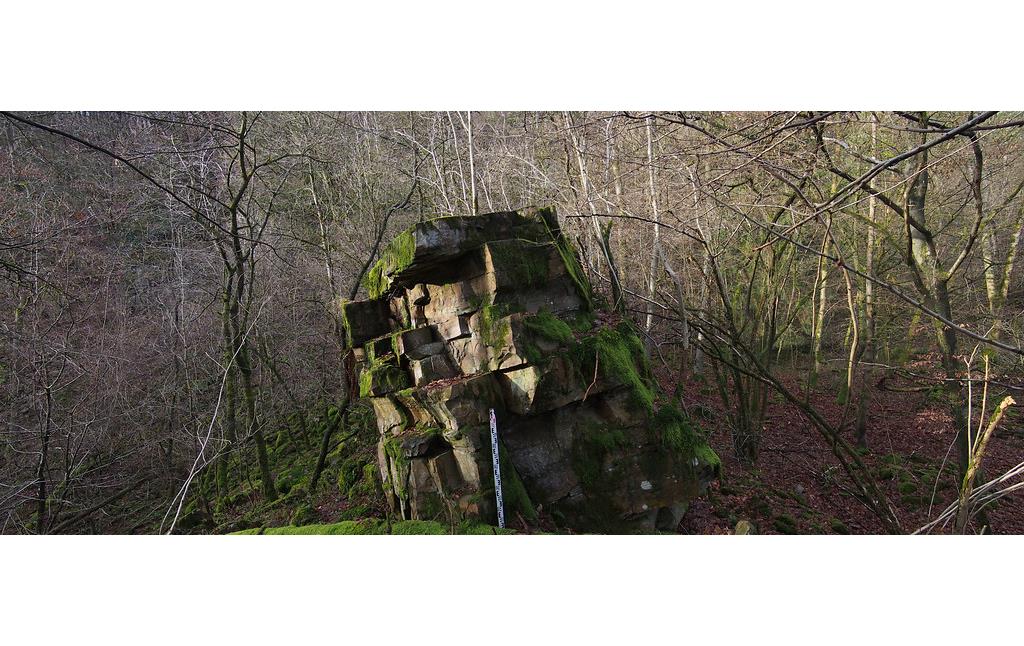 Steinbruch Felsenthal, als Felsriegel stehengebliebene Parzellengrenze zwischen zwei Brüchen.  (2018)