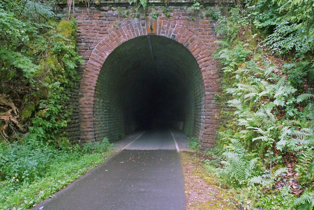 Doppeltunnel bei Lommersweiler (2022)