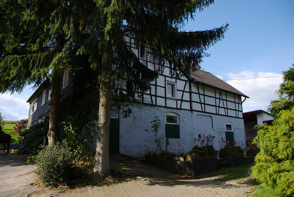 Landwirtschaftlicher Hof mit Fachwerkelementen in Schneppendahl (2008)