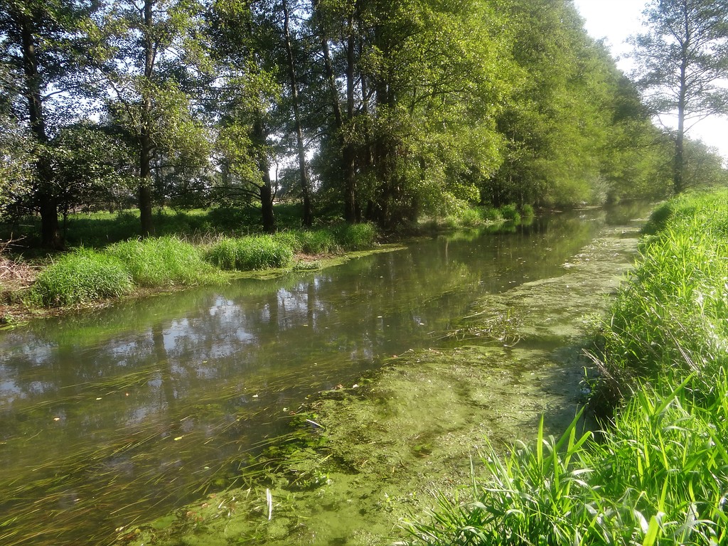 Naturschutzgebiet Fleuthkuhlen in Geldern und Issum (2016)