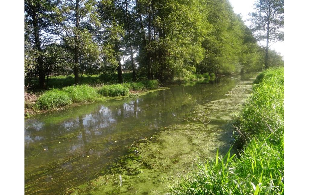 Naturschutzgebiet Fleuthkuhlen in Geldern und Issum (2016)