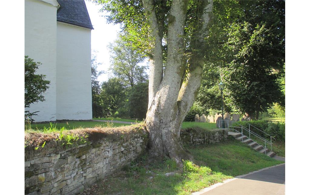 Der Kirchhof der Kreuzkirchein Wiedenest ist mit alten Bäumen bestanden und ummauert, im Südwesten sind Grabsteine dort aufgestellt. (2015)