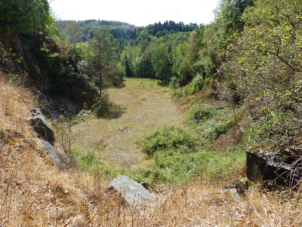 Blick von der Abbruchkante auf die untere Sohle des Steinbruchs Morkepütz (2018)