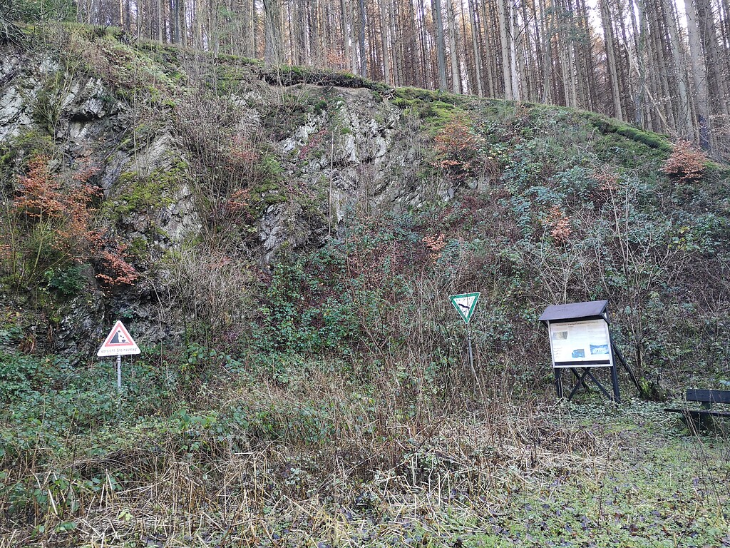 Naturdenkmal "Ehemaliger Steinbruch bei Dürscheider Hütte" (2019)