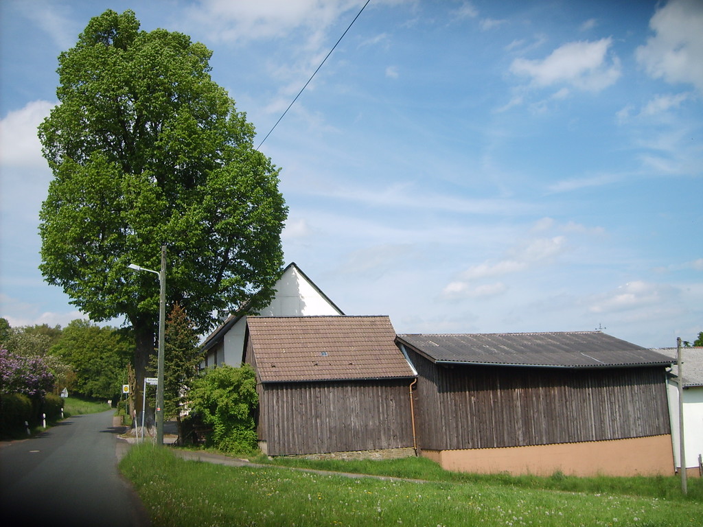 Historische Scheune und Wohnhaus mit Hausbaum in Wipperfürth-Ballsiefen (2009)