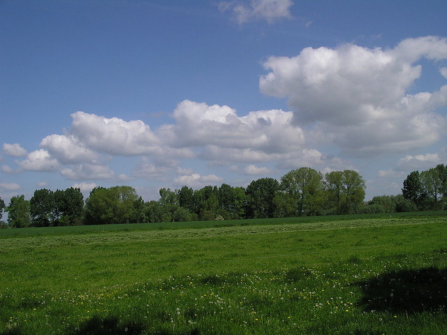 Landschaft bei Wissel