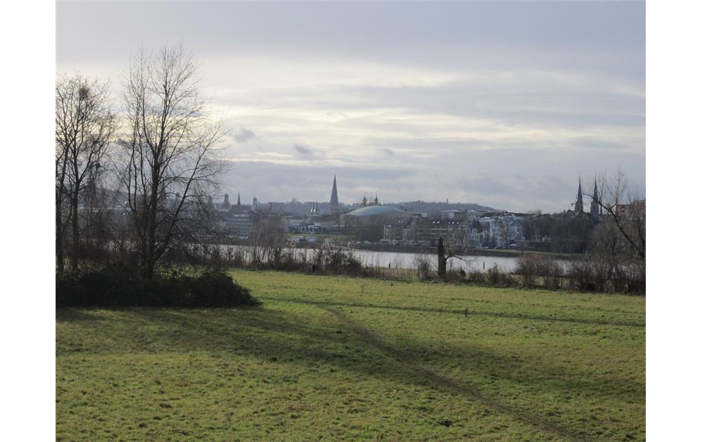 Panoramablick auf Bonn mit Bonner Münster von der Doppelkirche in Schwarzrheindorf aus
