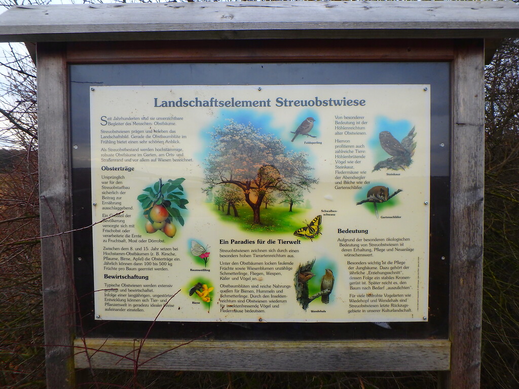 Obstwiese "Hüllenpfad" in Bornheim (2018)