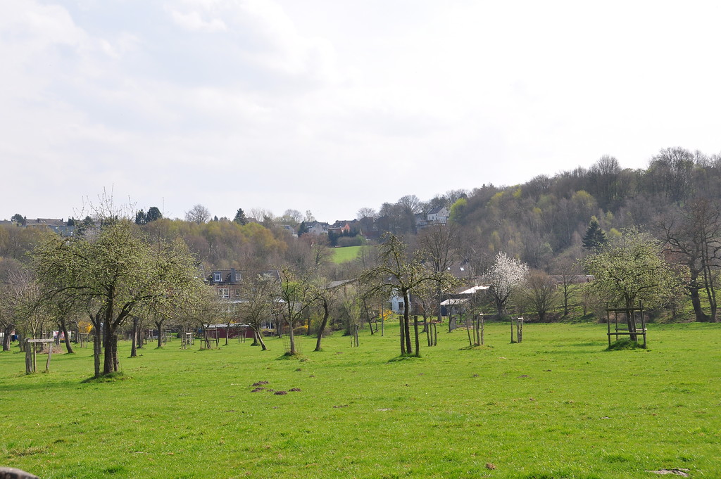 Gartenland der Bocksmühle in Stolberg-Büsbach (2014)