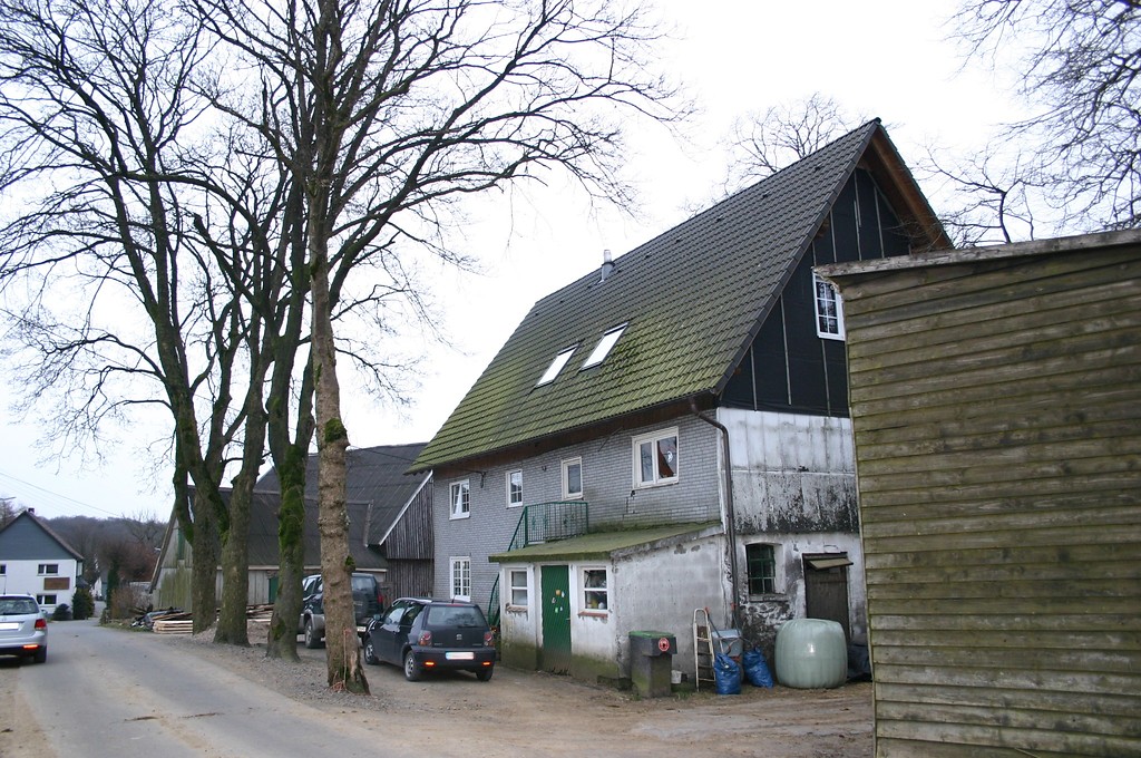Alter landwirtschaftlicher Hof mit Hausbäumen in Altendorf (2008)