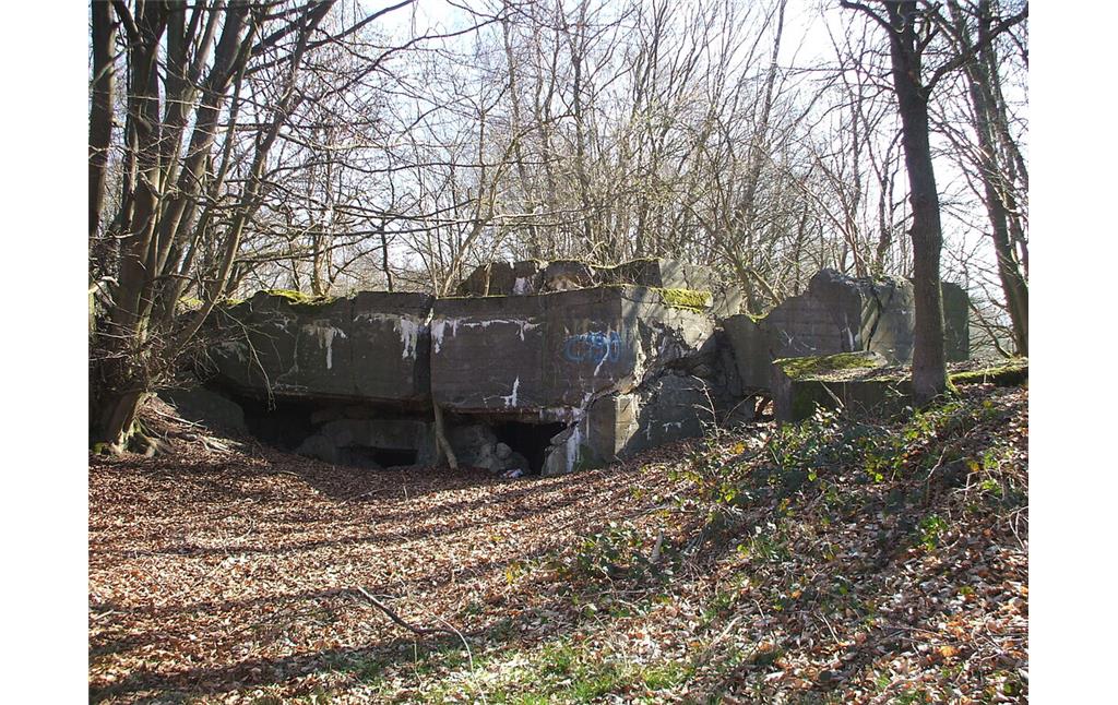 Reste von Bunkerruinen auf dem Standortübungsplatz Brander Wald zwischen Aachen-Brand und Stolberg-Münsterbusch, die Teil des sogenannten "Westwalls" waren (2014).