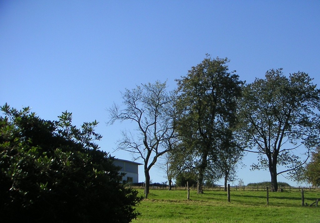 Obstwiese in Niederwinterhagen (2007)