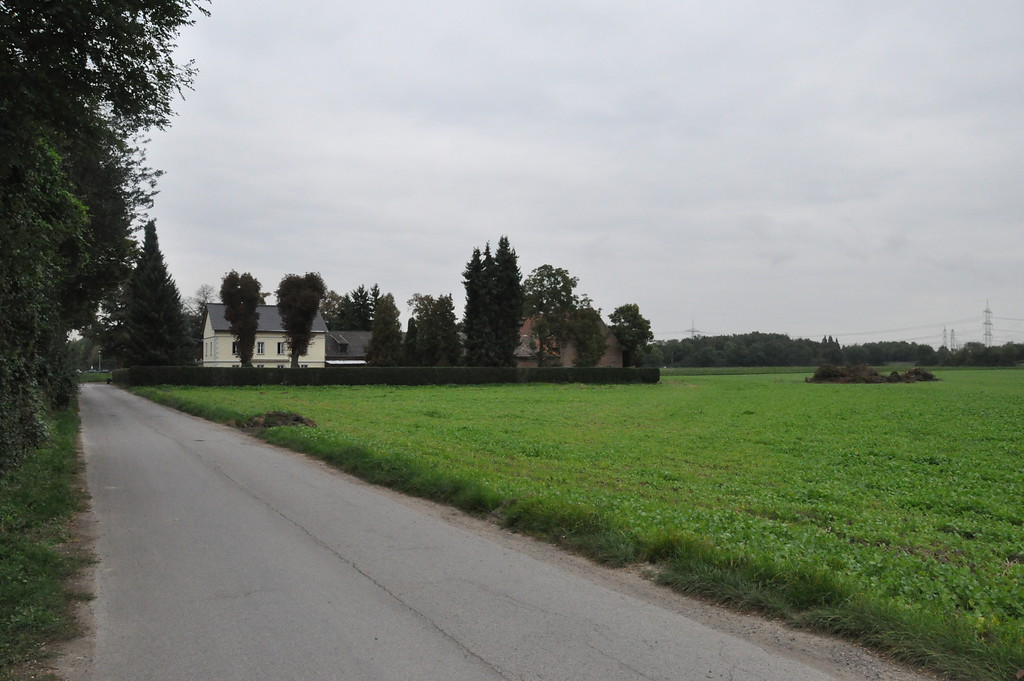 Der Falkenluster Hof mit Hausbäumen und Hofhecke inmitten landwirtschaftlicher Nutzfläche (2014)