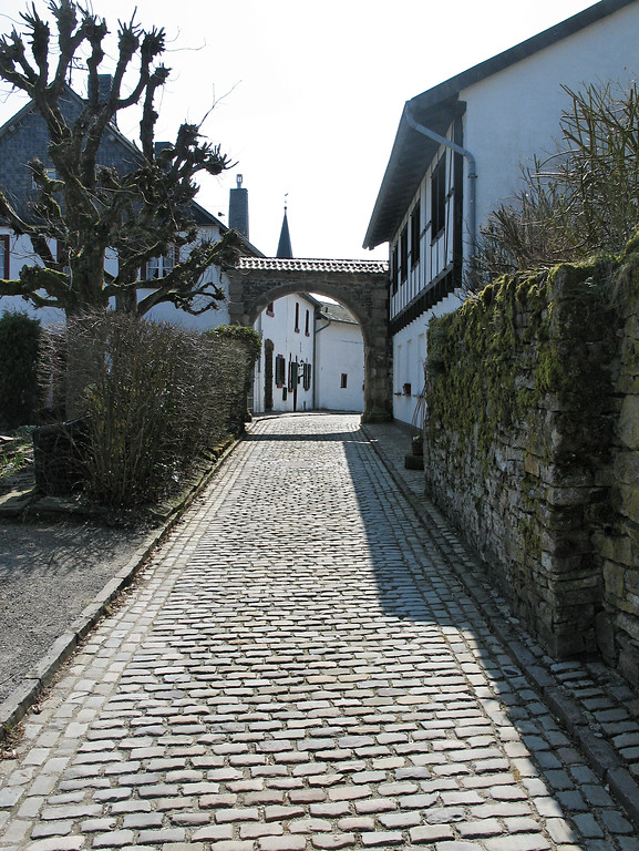Burg und Burgsiedlung Reifferscheid bei Hellenthal (2009)