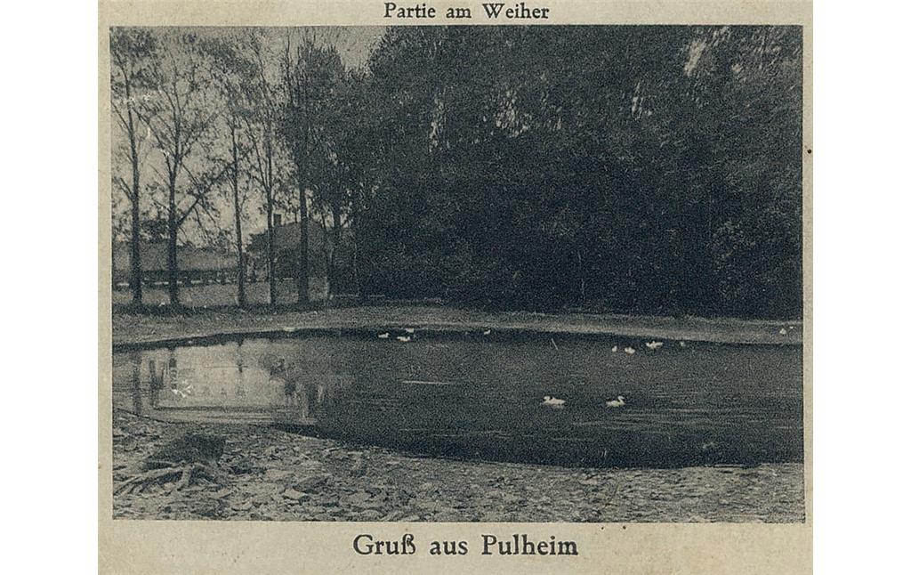 Abbildung 4: Kartäuserweiher in Pulheim (Postkarte um etwa 1920) (2006)