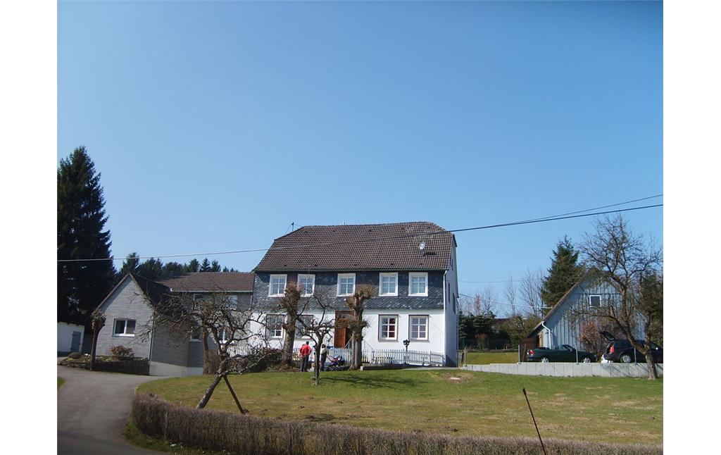 Historisches, denkmalgeschütztes Wohnhaus mit zwei Hausbäumen in Lambach (2009)