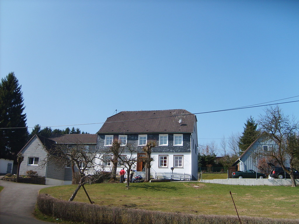 Historisches, denkmalgeschütztes Wohnhaus mit zwei Hausbäumen in Lambach (2009)