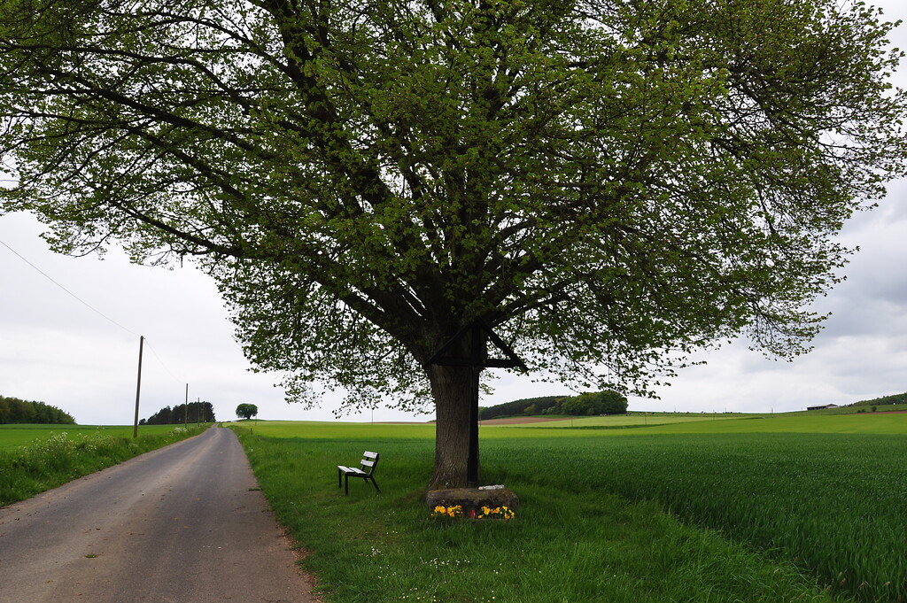Wegekreuz unter einem großen Baum bei Freilingen (2014)